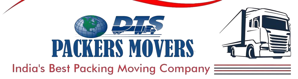 DTS Packers Movers logo